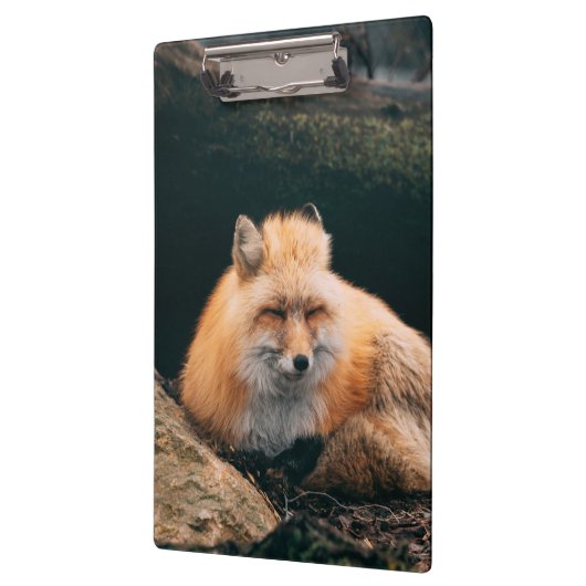 Red Fox Sleeping Klemmbrett (Links)
