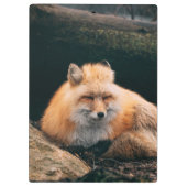 Red Fox Sleeping Klemmbrett (Rückseite)