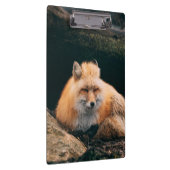 Red Fox Sleeping Klemmbrett (Rechts)