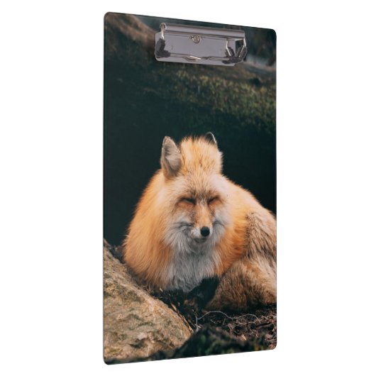 Red Fox Sleeping Klemmbrett (Rechts)