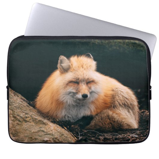 Red Fox Sleeping Laptopschutzhülle (Vorderseite)