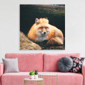 Red Fox Sleeping Leinwanddruck (Insitu (Wohnzimmer))