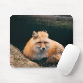 Red Fox Sleeping Mousepad (Mit Mouse)