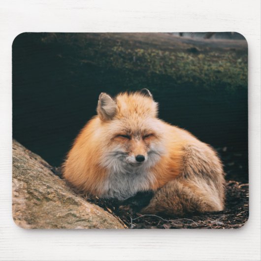 Red Fox Sleeping Mousepad (Vorne)