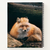 Red Fox Sleeping Notizblock (Rückseite)