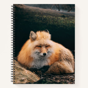 Red Fox Sleeping Notizblock