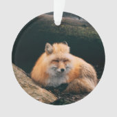Red Fox Sleeping Ornament (Vorderseite)