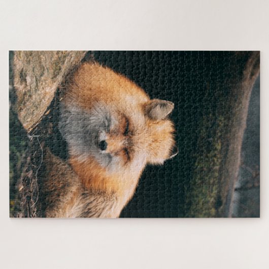 Red Fox Sleeping Puzzle (Horizontal)