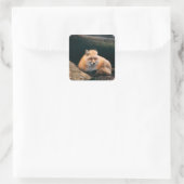 Red Fox Sleeping Quadratischer Aufkleber (Tasche)