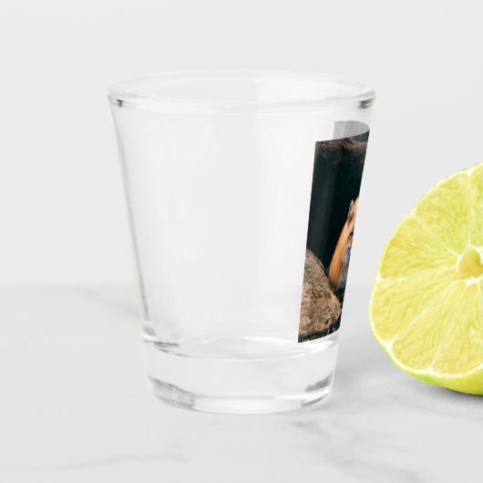 Red Fox Sleeping Schnapsglas (Links)