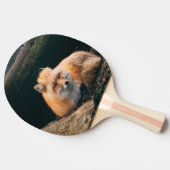 Red Fox Sleeping Tischtennis Schläger (Seitenansicht)