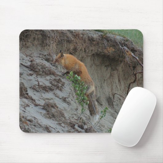 Red Fox Stealing Eggs Wildlife Mousepad (Mit Mouse)