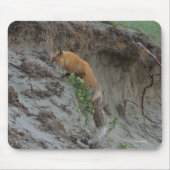 Red Fox Stealing Eggs Wildlife Mousepad (Vorne)