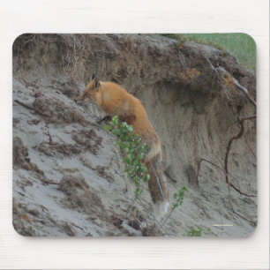 Red Fox Stealing Eggs Wildlife Mousepad