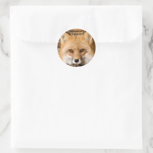 Red Fox Stickers (Tasche)