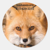 Red Fox Stickers (Vorderseite)