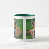 Red Fox Tasse (Zentrum)