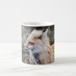 Red Fox - Tasse