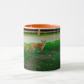 Red Fox Tasse (Zentrum)