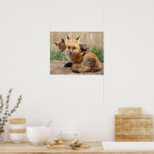 Red Fox und Baby Poster (Küche)