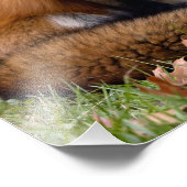 Red Fox und Blätter Fotodruck (Ecke)