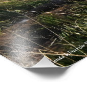 Red Fox und es ist Kit Fotodruck (Ecke)