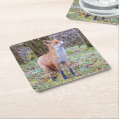 Red Fox Untersetzer (angewinkelt)