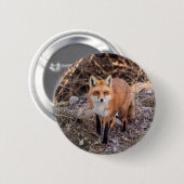 Red Fox up nah und persönlich Button (Vorne & Hinten)
