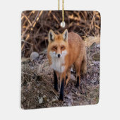 Red Fox up nah und persönlich Keramikornament (Rechts)