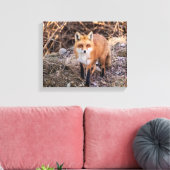 Red Fox up nah und persönlich Leinwanddruck (Insitu (Wohnzimmer))