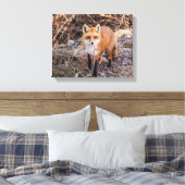 Red Fox up nah und persönlich Leinwanddruck (Insitu (Schlafzimmer))