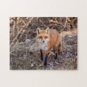 Red Fox up nah und persönlich Puzzle (Horizontal)