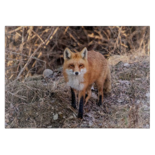 Red Fox up nah und persönlich Schneidebrett