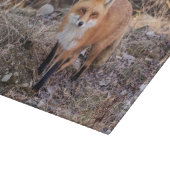Red Fox up nah und persönlich Schneidebrett (Ecke)