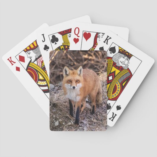 Red Fox up nah und persönlich Spielkarten (Rückseite)