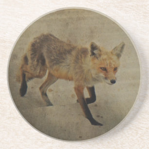 Red Fox Vixen - Island Beach Staat Park - NJ Getränkeuntersetzer