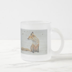 Red Fox Vixen - Island Beach Staat Park - NJ Mattglastasse