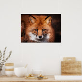 Red Fox Wild Woodland Animal Poster (Küche)