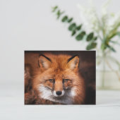 Red Fox Wild Woodland Animal Postkarte (Stehend Vorderseite)