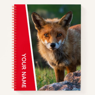 Red Fox Wildlife Animal Australia Notebook Notizblock