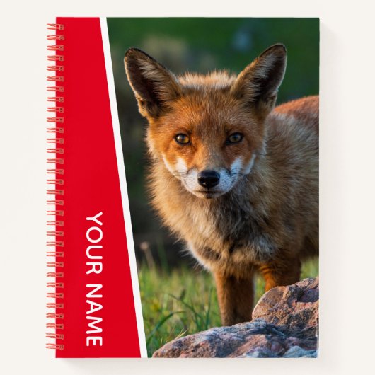 Red Fox Wildlife Animal Australia Notebook Notizblock (Vorderseite)