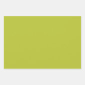 Red Fox Woodland Wildlife Pattern Geschenkpapier Set (Vorderseite 3)