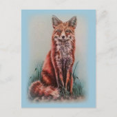 Red Fox Zeichnend Stift Postkarte (Vorderseite)