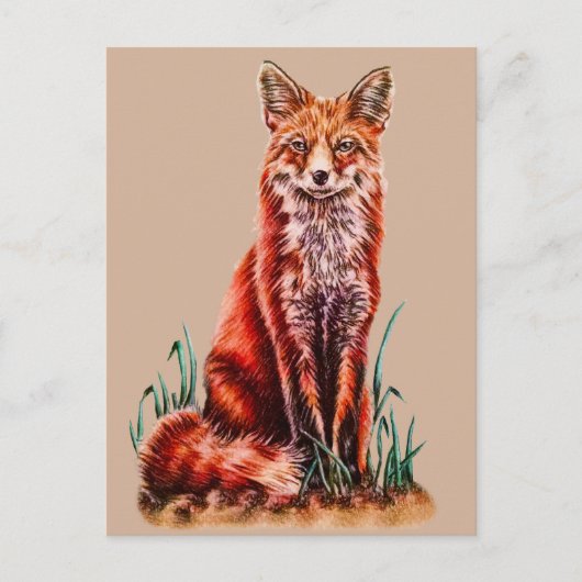 Red Fox Zeichnend Tier Art Stift Foxy Postkarte (Vorderseite)