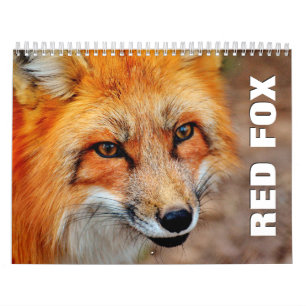 Red Foxes 2022 Wall Calendar Kalender