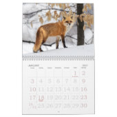 Red Foxes Calendar Kalender (Jan 2027)