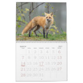 Red Foxes Calendar Kalender (Mär 2027)