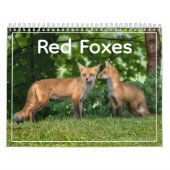 Red Foxes Calendar Kalender (Titelbild)