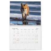 Red Foxes Calendar Kalender (Feb 2026)