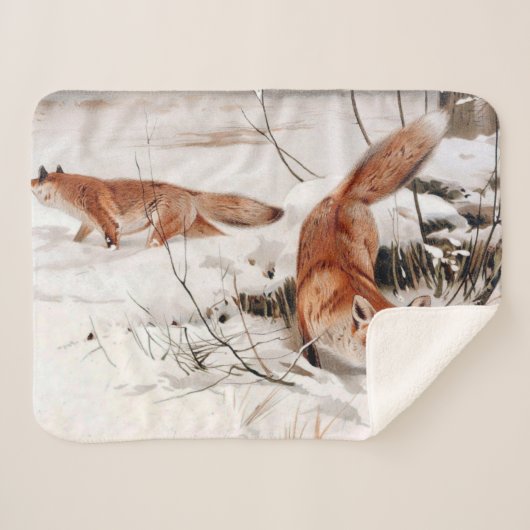 Red Foxes in the Winter Snow (by Wilhelm Kuhnert) Sherpadecke (Vorderseite (Horizontal))
